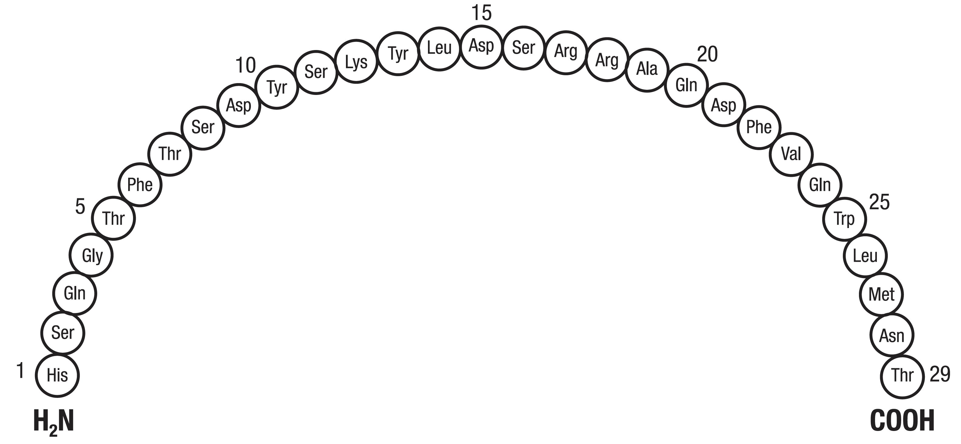 Glucagon
